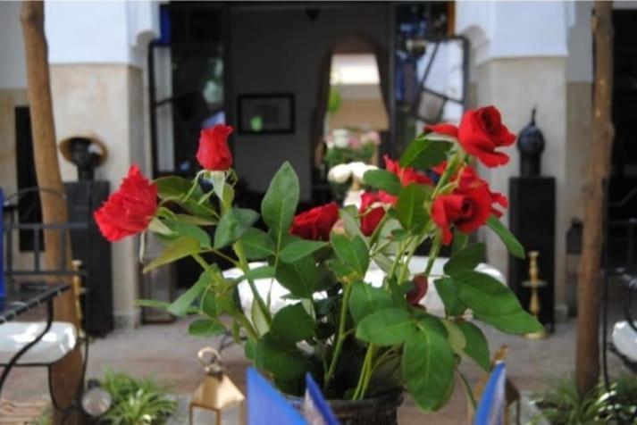Riad Green Lotus Marrakesh Ngoại thất bức ảnh