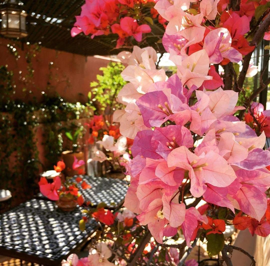 Riad Green Lotus Marrakesh Ngoại thất bức ảnh